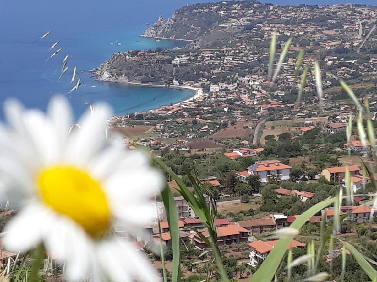 Villettemire Capo Vaticano Exterior foto